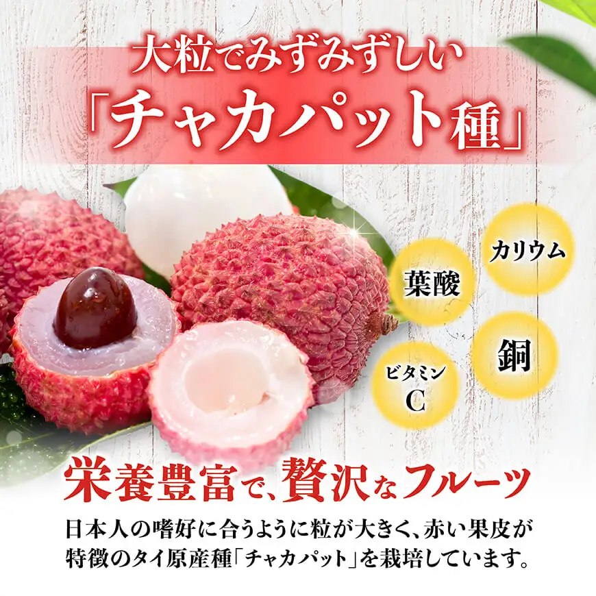 【令和8年産】川南町産ライチ（中粒）10粒(5粒×2パック)【 国産ライチ フルーツ デザート 宮崎県産 】