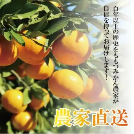 【2027年1月順次発送!】100年以上続くみかん農家がつくる「みかん(宮川早生)」約5kg【配送不可地域：離島】【1738394】