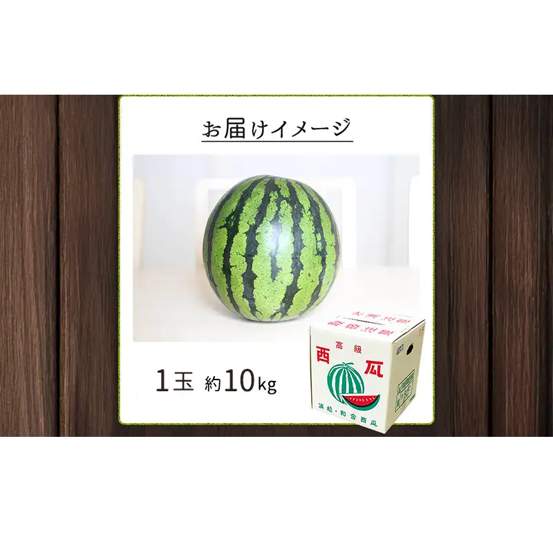 【浜松市産】超大玉スイカ 1玉 約10kg すいか スイカ 西瓜 果物 くだもの 大玉 フルーツ プレゼント お中元 静岡 浜松市【配送不可：離島】 