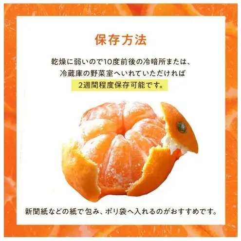 浜松市産 JAとぴあ浜松 ハウスとぴあみかん 秀Lサイズ 約2.5kg 約20個入り 糖度11度以上 みかん ミカン 静岡 浜松市