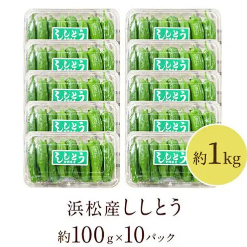 浜松市産 ししとう 約100g×10パック 合計約1kg とうがらし 獅子唐 シシトウ 国産 野菜 静岡 浜松市