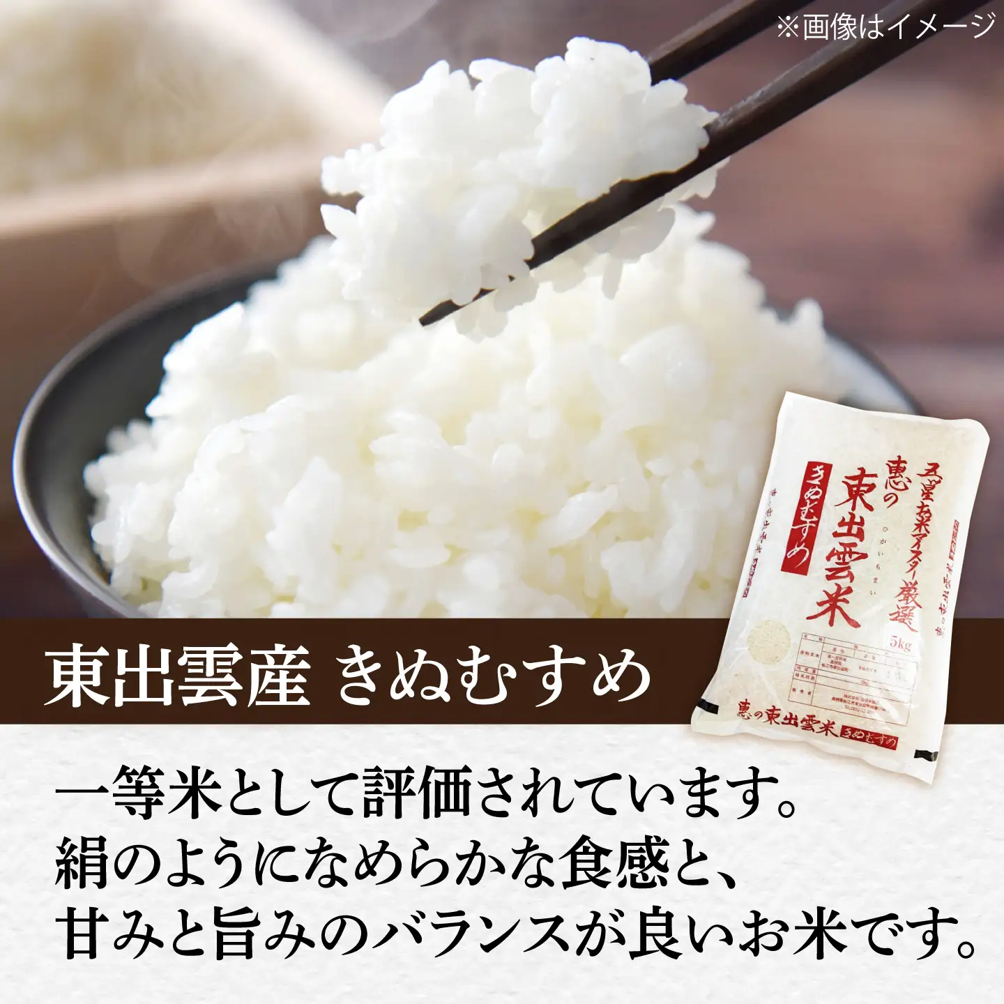 【先行予約】【2026年10月以降発送】新米きぬむすめ5kg 島根県松江市/株式会社沼田米穀店[ALBU021]