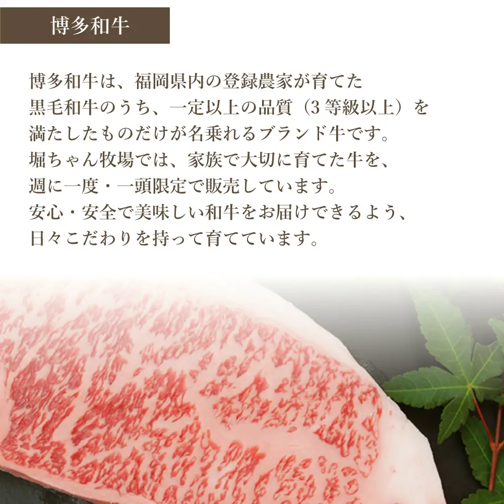 博多和牛　もつ鍋セット（醤油味）＜3～4人前＞