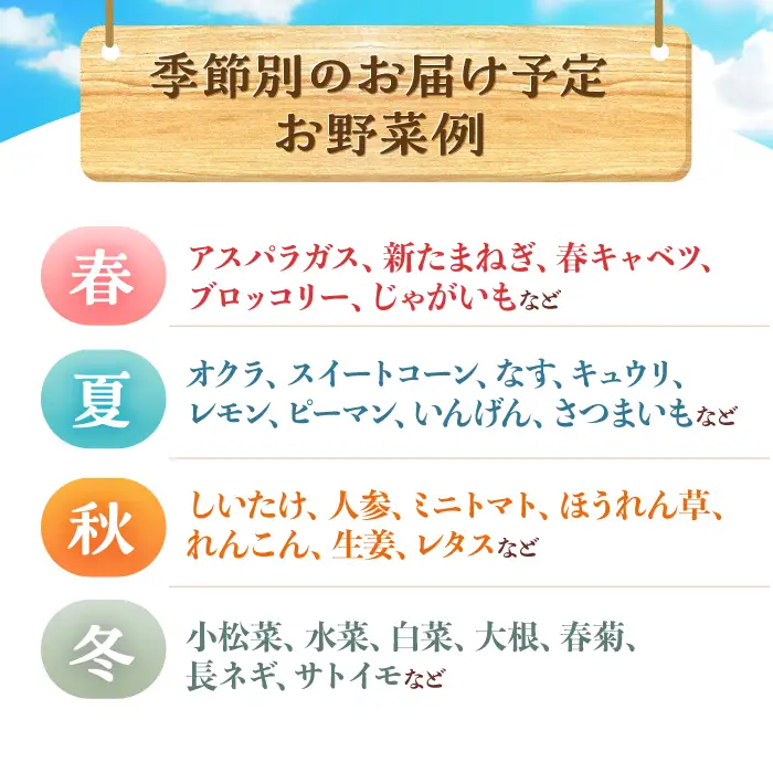 月2回お届け【12回定期便】諫早産 野菜の詰め合わせ 8・9品目程度 / 季節 旬 野菜 やさい 春野菜 夏野菜 秋野菜 野菜セット 詰め合わせ 野菜定期 野菜定期便 定期便 / 諫早市 / 肥前グローカル株式会社[AHDI014]