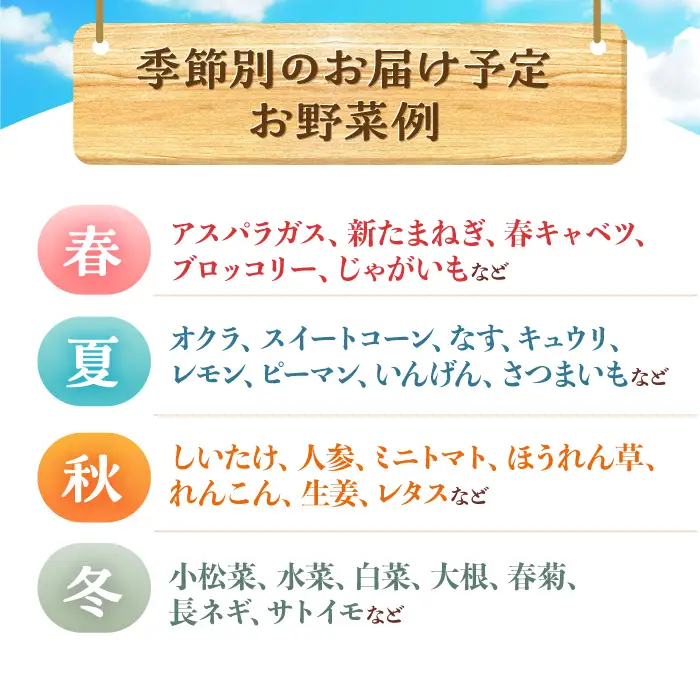 月2回お届け【24回定期便】諫早産 野菜の詰め合わせ 8・9品目程度 / 季節 旬 野菜 やさい 春野菜 夏野菜 秋野菜 野菜セット 詰め合わせ 野菜定期 野菜定期便 定期便 / 諫早市 / 肥前グローカル株式会社[AHDI015]