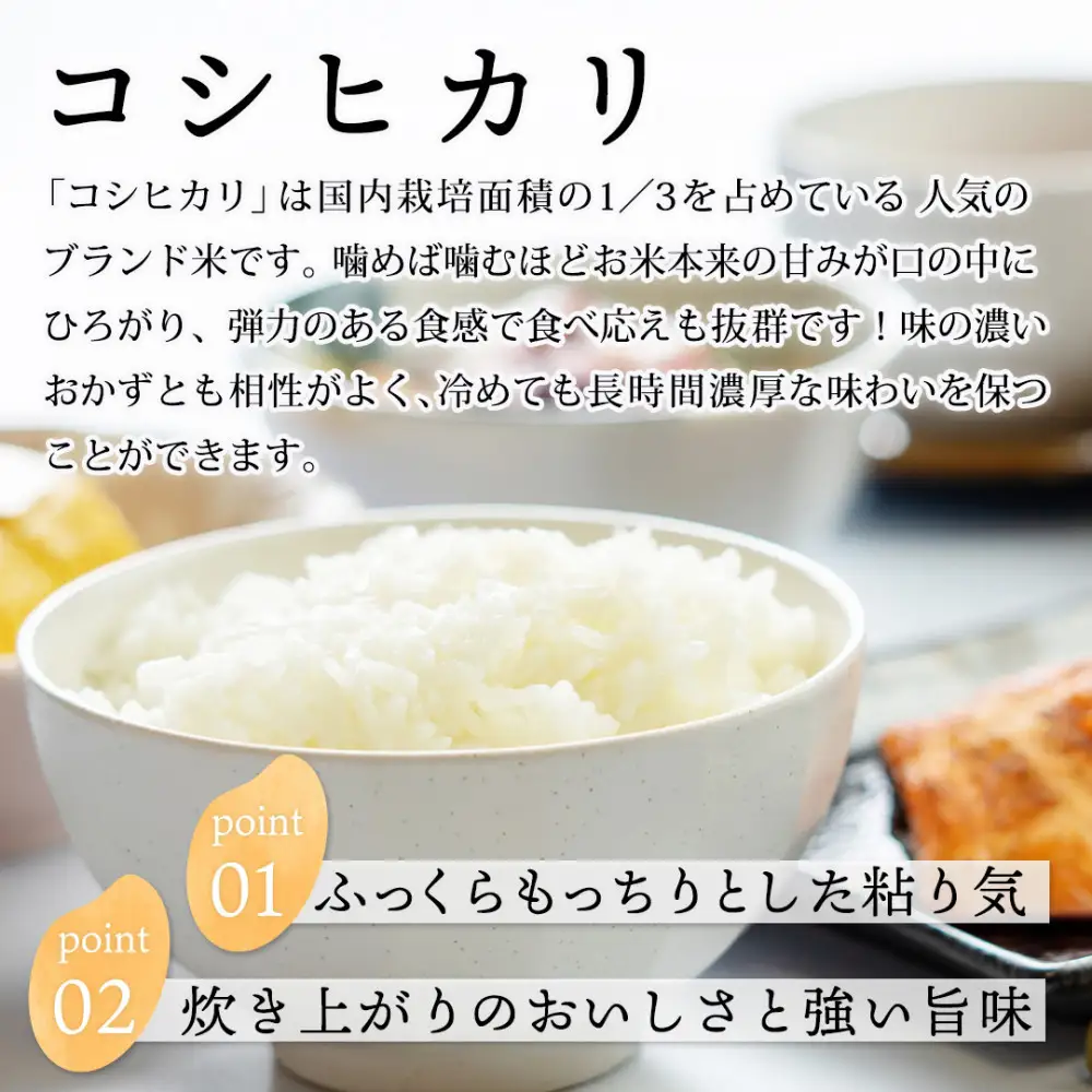 【令和8年度産】因幡の白兎米 コシヒカリ 精米済 20kg ( 5kg×4袋 )