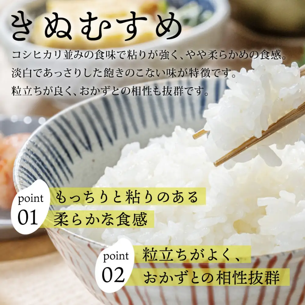 【令和8年度産】因幡の白兎米 きぬむすめ 精米済 20kg ( 5kg×4袋 )