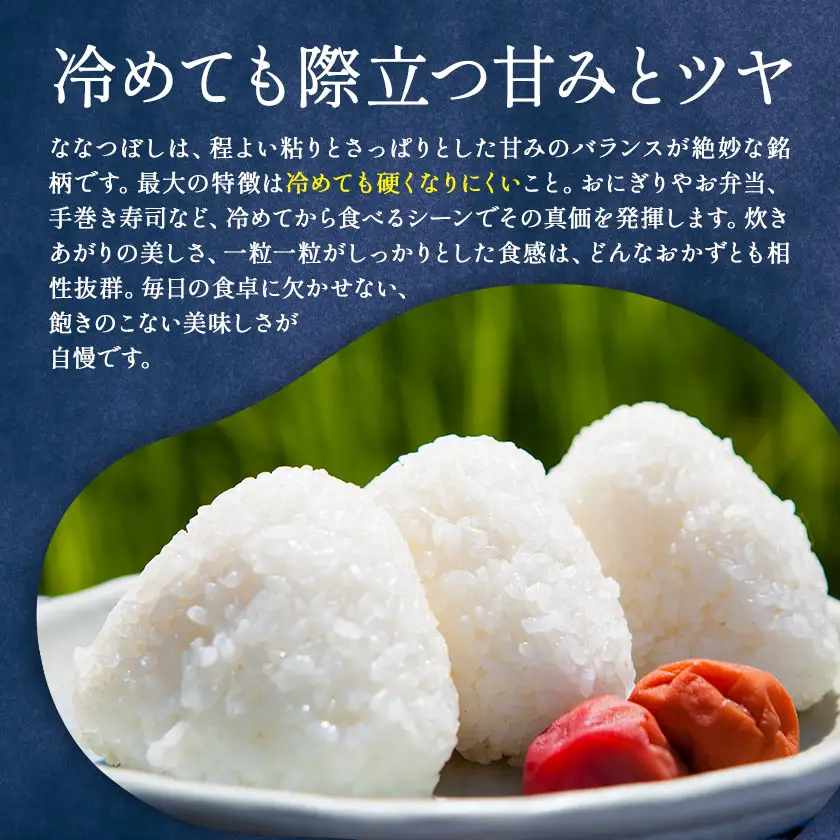 米 令和8年産 ななつぼし 5kg 若木ファーム 《11月上旬以降順次出荷》北海道 本別町 米 お米 白米 精米 2026年 予約 北海道産 十勝 本別町産 特A 産地直送