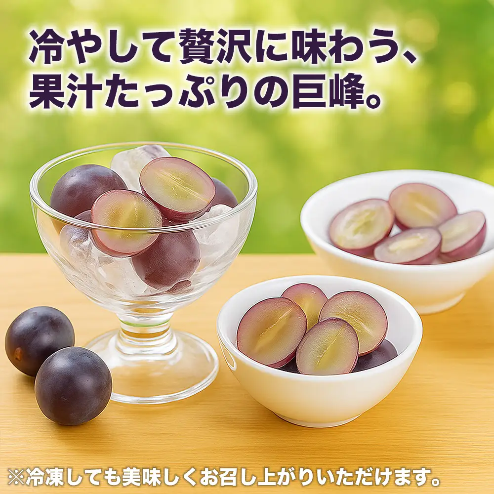 先行予約 巨峰  約1.2kg (4パック)【2026年7月下旬～2026年8月下旬配送予定】