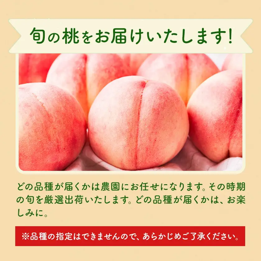 桃 hata農園 直送 あら川の桃 約2kg 5-8玉 And《2026年6月下旬-8月上旬頃出荷》和歌山県 紀の川市 フルーツ 果物 あらかわの桃 もも 【玉数指定不可】