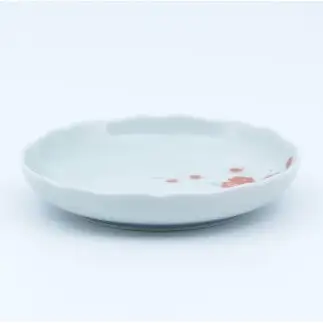 有田焼 色絵花鳥文4.5寸皿 2枚セット【まるぶん】まるぶんオリジナル 食器 器 うつわ 磁器 陶磁器 小皿 取り皿 飾り皿 染付 赤絵 手描き 日本画 和風 A22-110