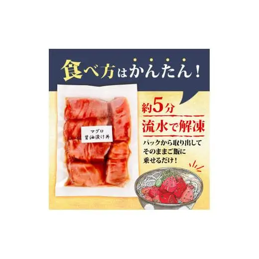 2種 醤油 漬け丼 90g×各5パック サーモン キハダマグロ