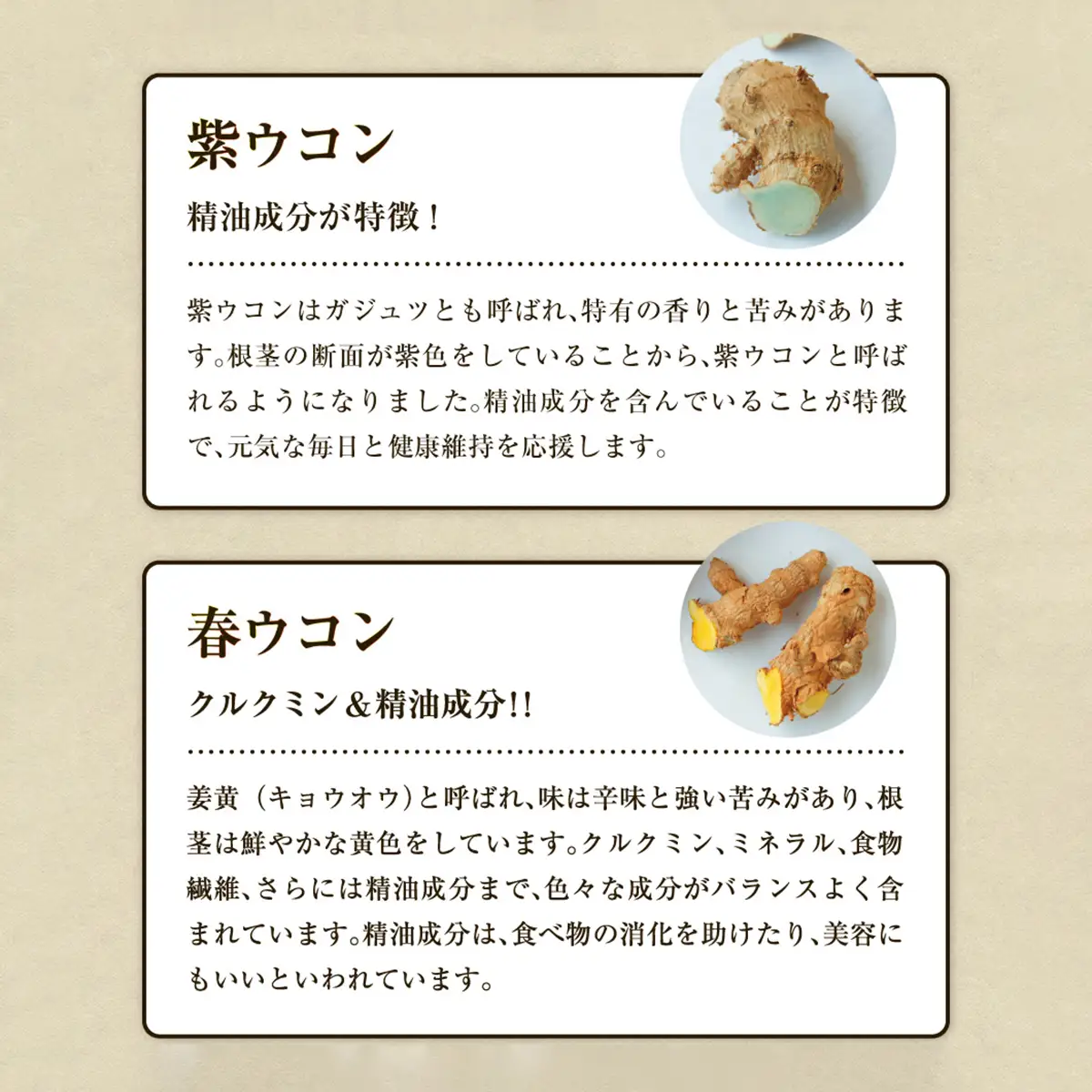 《定期便6回 2袋》琉球発酵ウコン 1袋(1粒重量250mg 3粒×31包)  | 沖縄県産の4種類のウコン | 飲みやすい タブレット 無農薬 農薬・化学肥料 不使用 自然由来 | 株式会社 しまのや | サプリ サプリメント 健康食品 | 送料無料