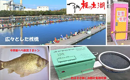 ～つり処椎の木湖～ 1日ご招待券 5枚 ヘラブナ 釣り堀 【へら鮒釣り】