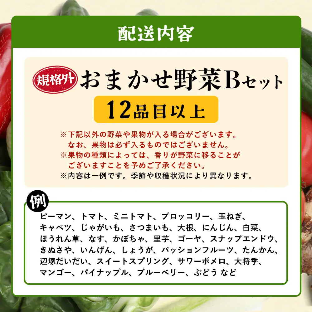 【規格外】本土最南端から 旬のおまかせ野菜セットB 12品目以上 NI-6｜ 旬 野菜 やさい 果物 くだもの 産地直送 農産物 冷蔵 鹿児島県 南大隅町産 詰合せ おまかせ 家庭用 訳あり なんたん市場