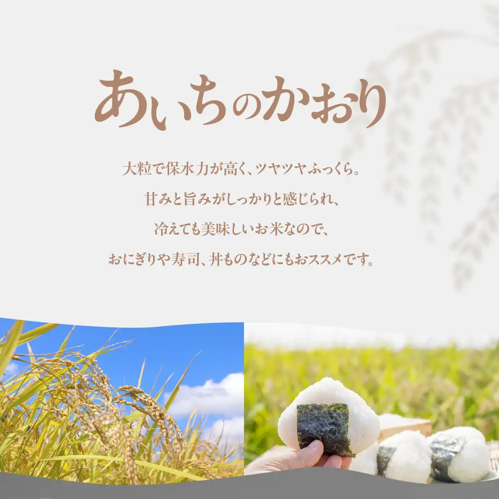 【令和7年産】 農薬不使用米 あいちのかおり ≪玄米 / 5kg≫ お米 おこめ こめ コメ 米 kome 栽培期間中農薬不使用 ブランド米 ふるさと納税米 即納 令和7年 高評価 高レビュー 玄米 健康 あいちのかおり 産地直送 送料無料 愛知県 豊橋市