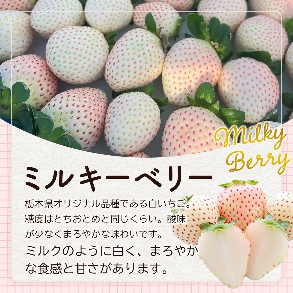 【先行予約受付】≪2027年1月発送≫ 白箱 とちあいか ミルキーベリー 紅白セット ｜果物 いちご 朝取り 新鮮 ハート フルーツ デザート ストロベリー デザート スイーツ 苺 イチゴ 大田原市 栃木県