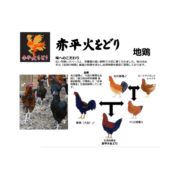 訳あり 国産 鶏肉 赤平火をどり 地鶏 ムネ モモ セット 計3.6kg 鶏 もも肉 むね肉 肉 精肉 国産鶏肉 鳥 鳥肉 業務用 人気 おすすめ 北海道 赤平