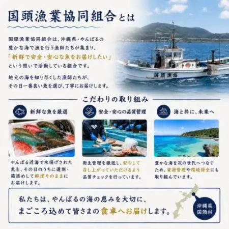 【国頭漁業協同組合直送】旬の鮮魚おまかせセット 3kg(4～8種類)【配送不可地域：離島】【1738197】