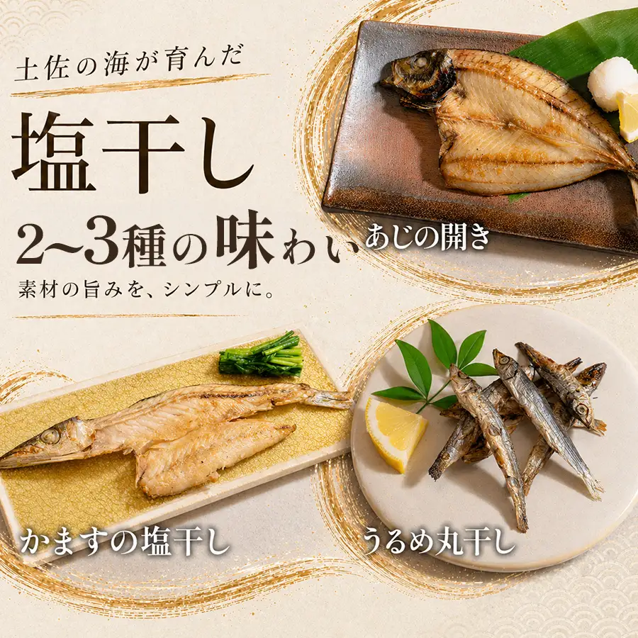 干物セット 2～品 土佐の朝ごはん 干物 冷凍 個包装 焼き魚 ご飯のお供 母の日 父の日 ギフト 贈答 贈り物 御祝 内祝 お取り寄せ プレゼント お中元 お歳暮 旬 魚 海産物 おかず 高知県 大月町産 国産 未来鮮魚株式会社 大月海産 産地直送