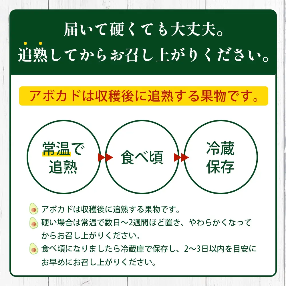 【期間限定・数量限定】 2026年11月より順次発送予定 南大隅町産 生アボカド 約1kg （4品種から2種以上おまかせ）SG-2｜ 産地直送 国産 アボカド 新鮮 森のバター 希少 鹿児島県産 本土最南端 ピンカートン モンロー ジャンボイス エッティンガー しげひさ農園