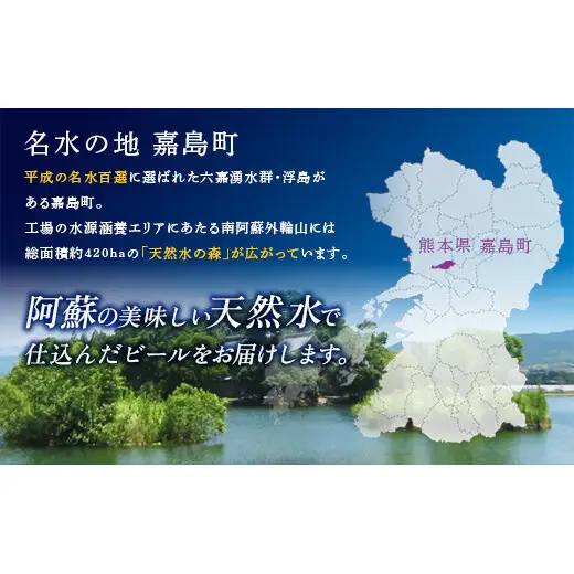 FK7-0336_【9回定期便】サントリー 生ビール トリプル生 350ml×2ケース(48缶) 熊本県 嘉島町 ビール サン生