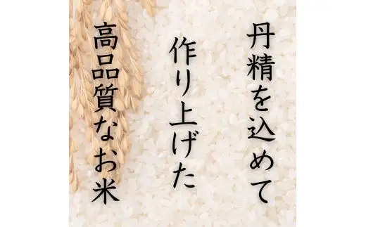 和歌山県産 キヌヒカリ 2kg(2025年産) / 白米 コメ 産地直送 米 こめ ご飯 ごはん コシヒカリ 【sml138】