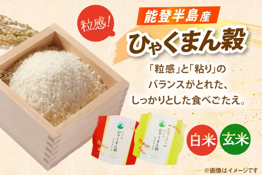 石川県産米 食べ比べ パックご飯 4種アソート セット コシヒカリ ひゃくまん穀 ゆめみづほ （白米3食＆玄米1食） [みどりの波 石川県 宝達志水町 38601392]