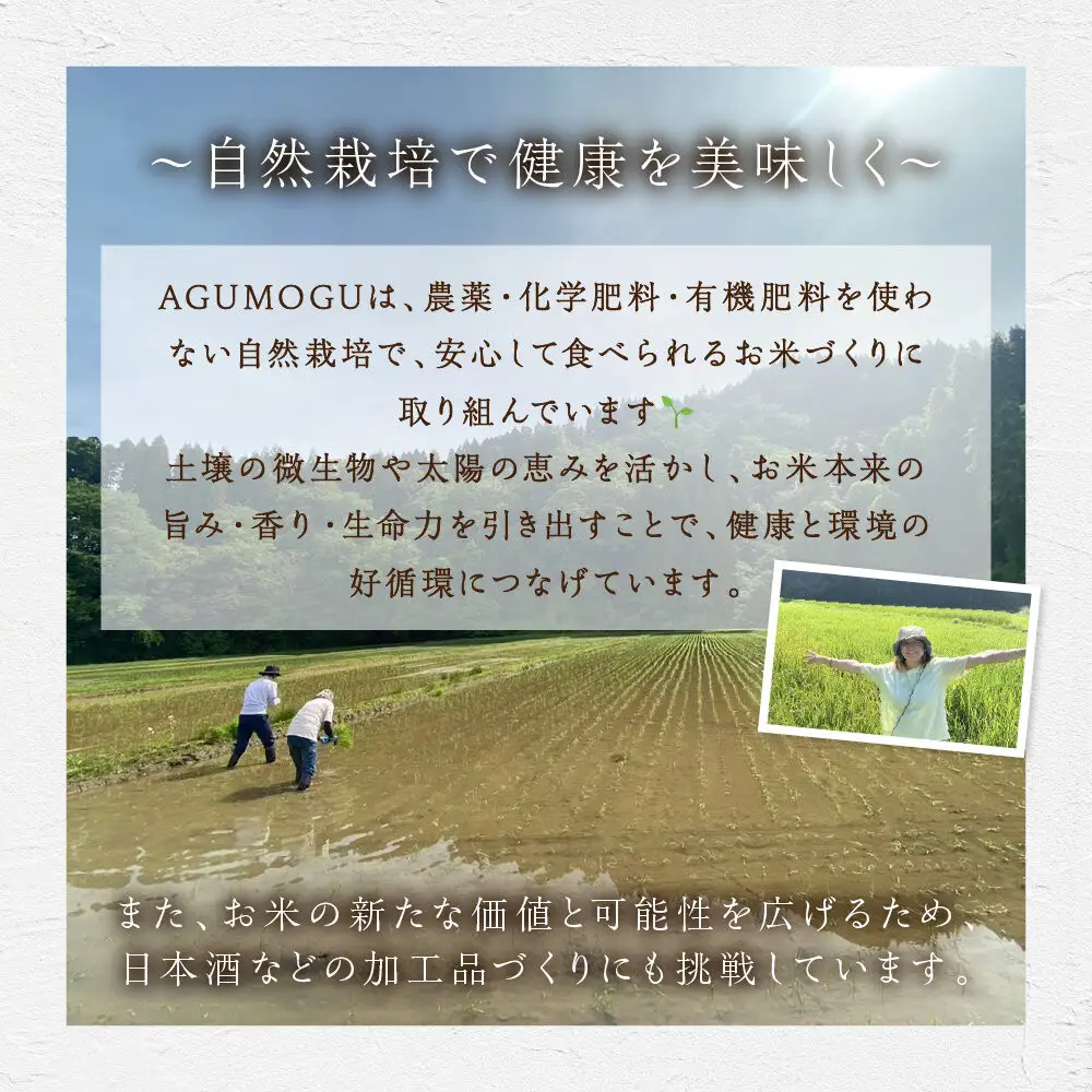 福めぐりシリーズ　福めぐり　純米生原酒　720ml×1本（早春）