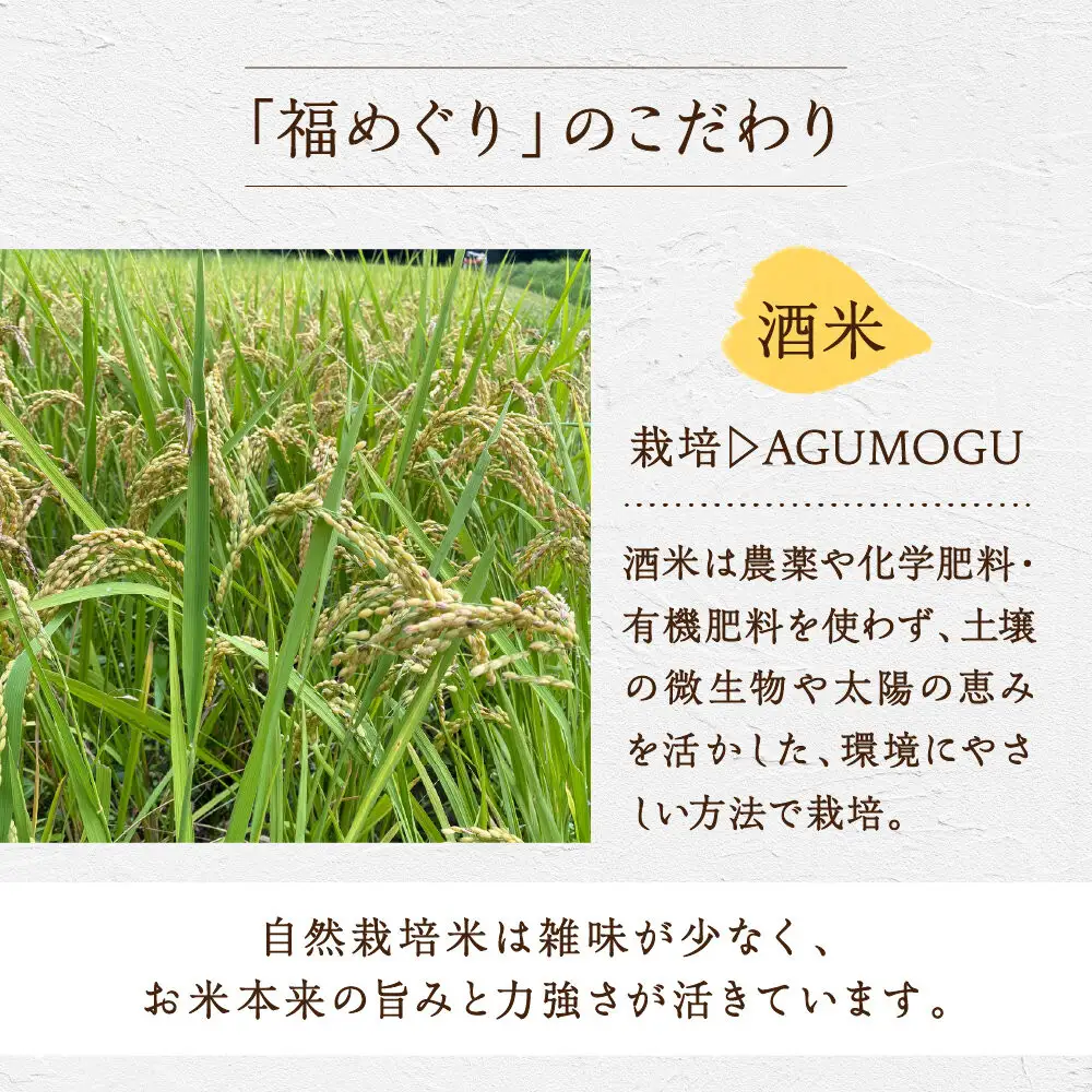 福めぐりシリーズ　福めぐり　純米原酒　720ml×1本（初冬）