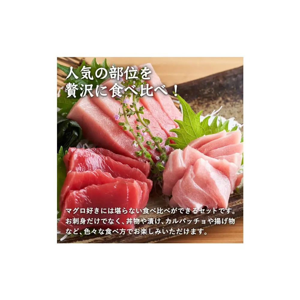 天然本マグロ(黒マグロ)　3点セット(大トロ・中トロ・赤身) 1kg