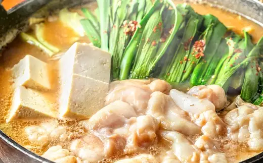 魚住商店 特製あごだし醤油仕立て もつ鍋セット｜満足もつ多め 500g 【 2～3人前 】 モツ鍋 もつ鍋 鍋料理 モツ あごだし アゴ出汁 ダシ 出汁 醤油仕立て 醤油 しょう油 牛モツ 極上スープ スープ