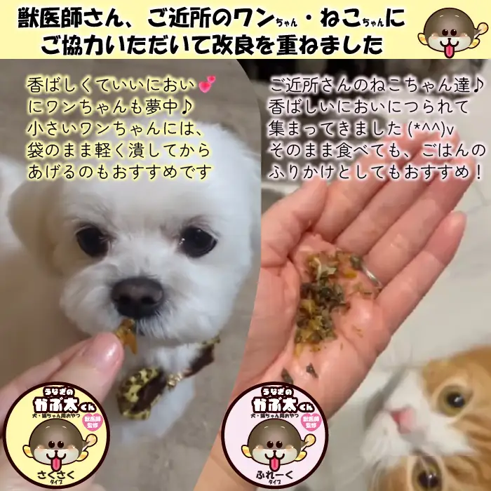 【犬猫用おやつ】うなぎのかぶ太くん 《さくさくタイプ》 国産 無添加 無塩 獣医監修 ペットフード（Ab-202-1）
