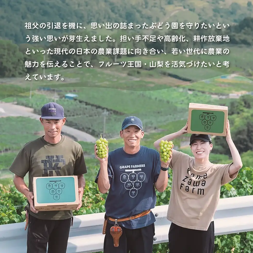 山梨県甲斐市産　化学肥料不使用で育った巨峰　約1㎏