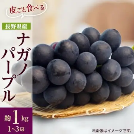 【発送月固定定期便】信州人気のフルーツ(いちご・さくらんぼ・ナガノパープル)セット全3回【配送不可地域：離島】【4085541】