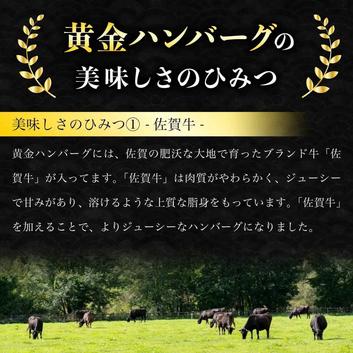 老舗55年【佐賀牛入】黒毛和牛ハンバーグ がばいばーぐ 12個（1.8K）【焼くだけ】 B-1086
