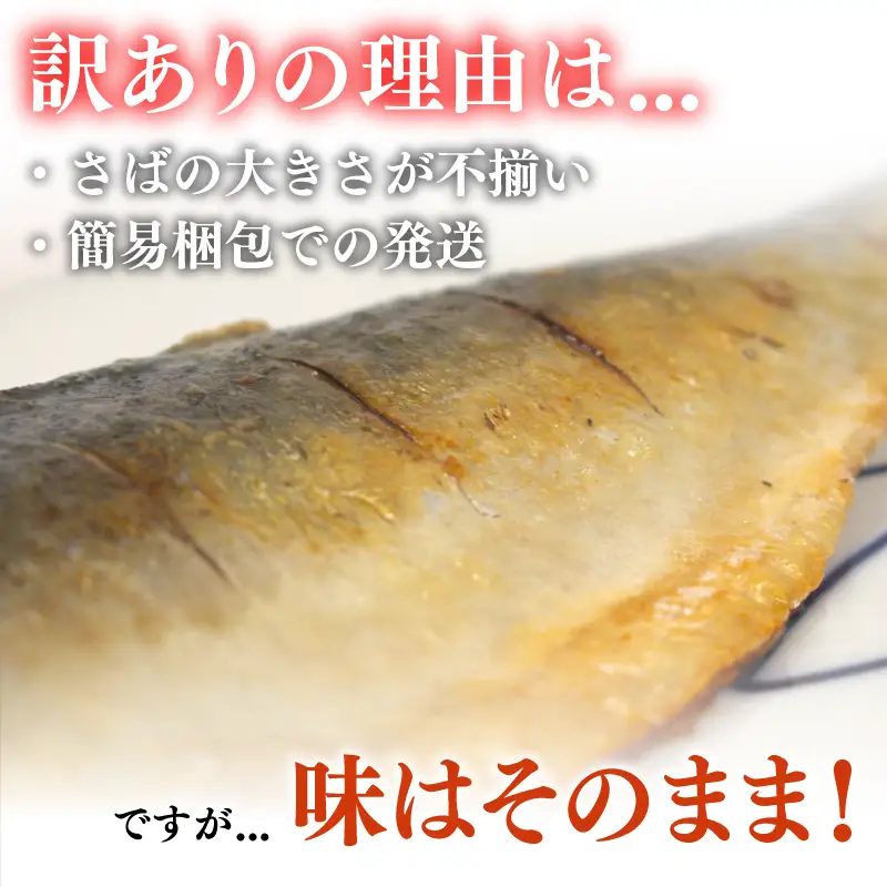 【7営業日以内発送】 訳あり さば フィーレ 2kg さば NV