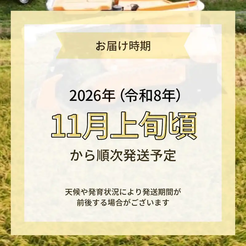 【令和8年産 新米予約】【無洗米】秋田県産特別栽培米ササニシキ4kg（2kg×2袋）新米 お米 おこめ 精米 小分け 特別栽培米