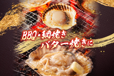 ＼漁業者応援品／片貝ほたて10枚×2P A-14134