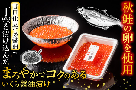 [鮭匠ふじい]いくら120g・数の子240g A-42088