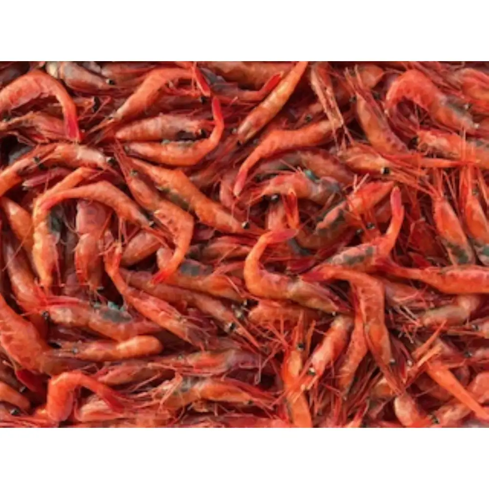 ＜定期便＞『境港の全部を食す』旬のお魚宅配便(全4回)