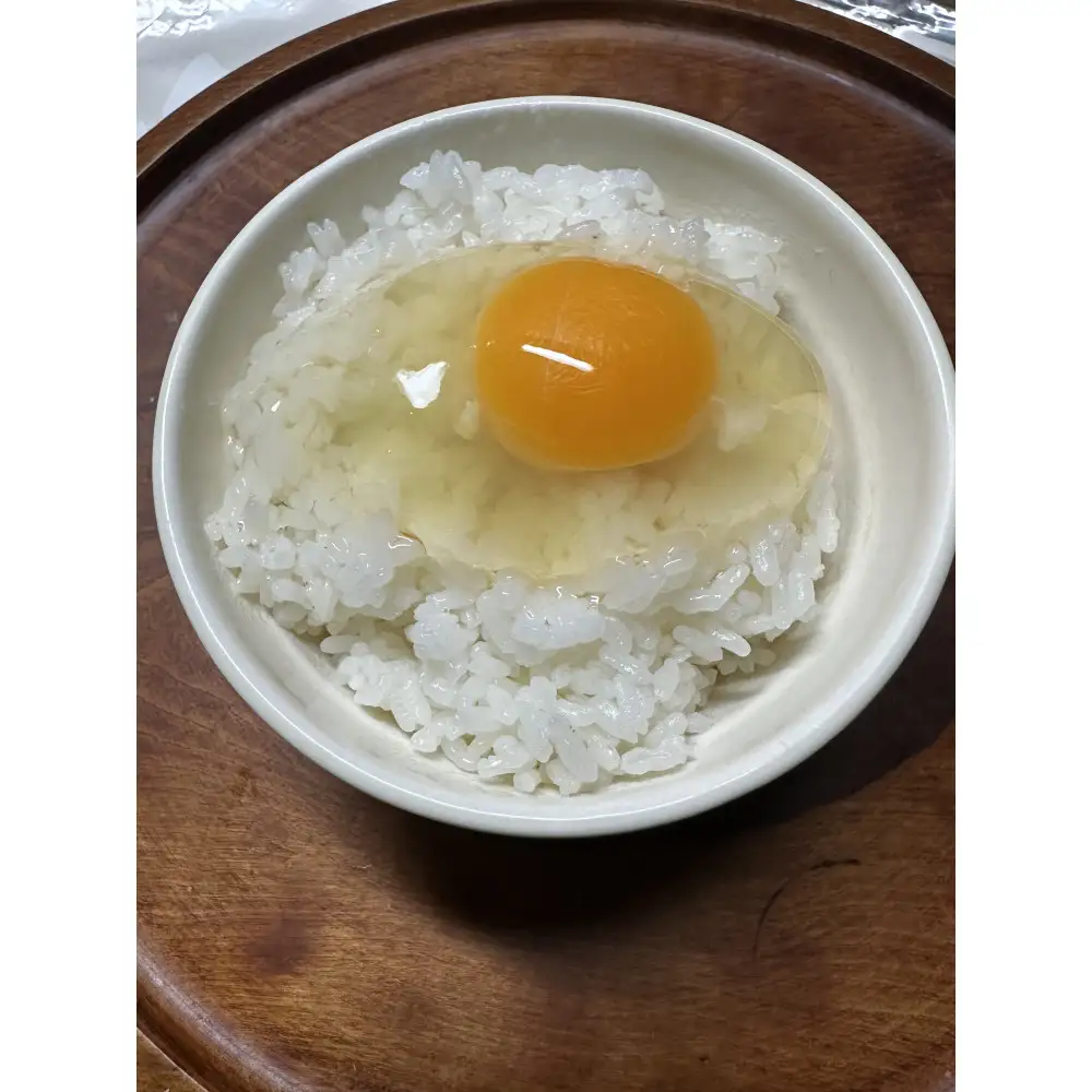 平飼い赤たまご16個 | 湯河原町 ミックスファーム 赤たまご こだわり飼育 朝食