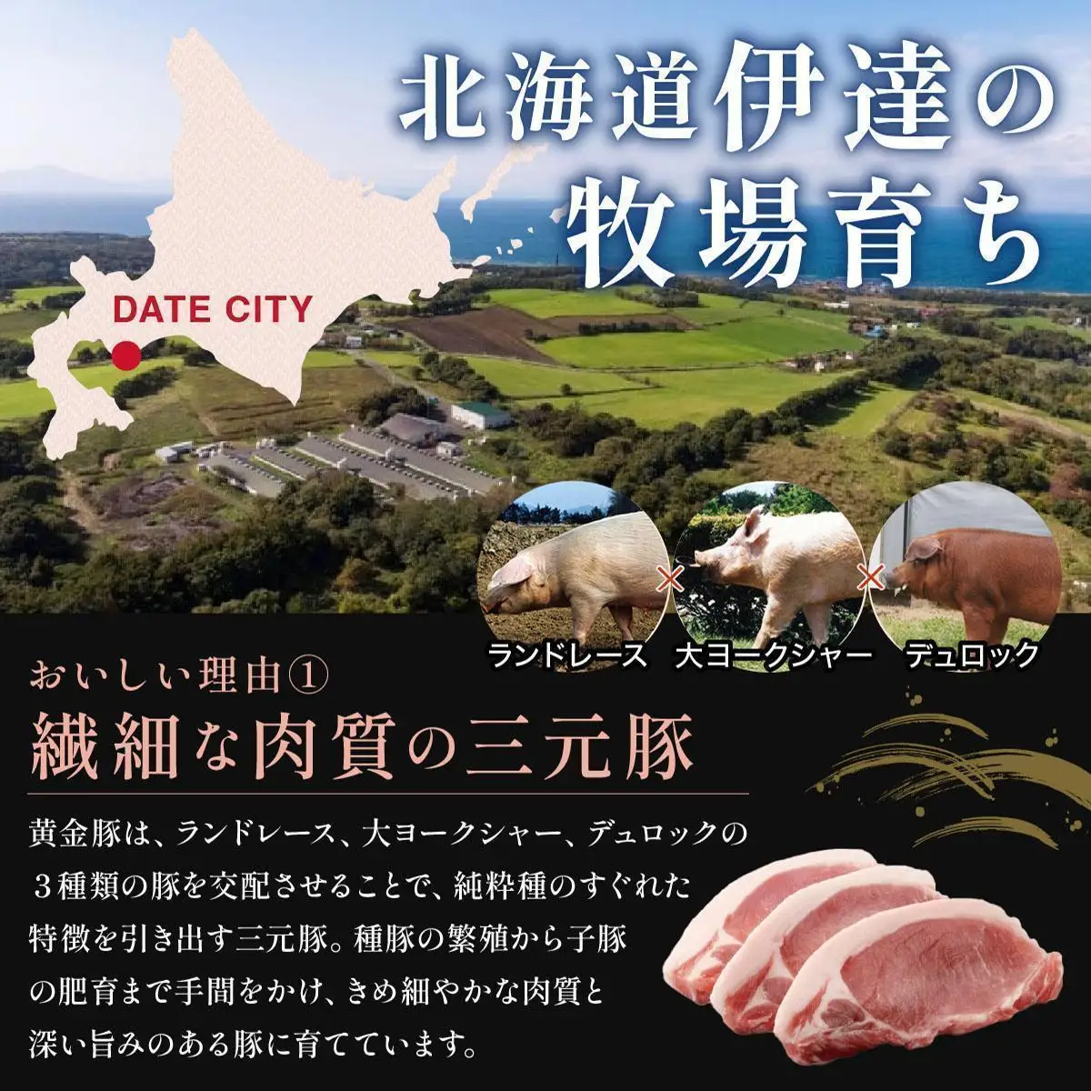＜7月発送＞＜黄金豚＞ブランドポーク 北海道 豚ひき肉 あら挽き 200g 22パック 計4.4kg | 伊達産 黄金豚 三元豚 ミンチ 挽肉 お肉 豚肉 小分け ハンバーグ 餃子 カレー 大矢 オオヤミート 冷凍 送料無料 ooy-003-2607