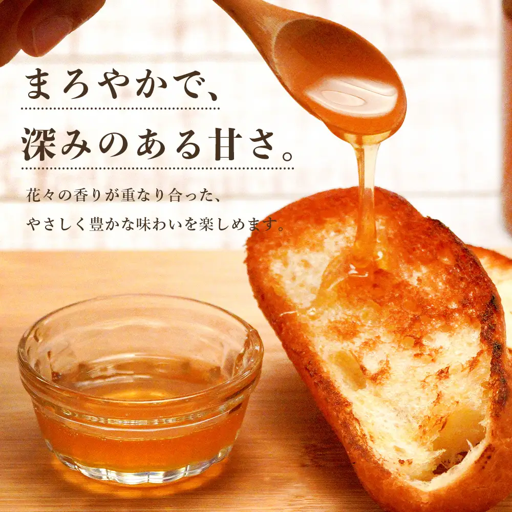 二ホンミツバチのハチミツ 250g×1個 | はちみつ 蜂蜜 国産 非加熱 にほんみつばち 日本蜜蜂