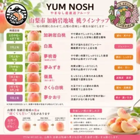 【山梨県山梨市産】加納岩の桃 旬のおまかせ 1kg(3玉)贈答用 ～世界農業遺産地域からお届け～【配送不可地域：離島・沖縄県】【1739290】