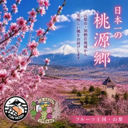 【山梨県山梨市産】加納岩の桃 旬のおまかせ 2kg(6玉)贈答用 ～世界農業遺産地域からお届け～【配送不可地域：離島・沖縄県】【1739294】