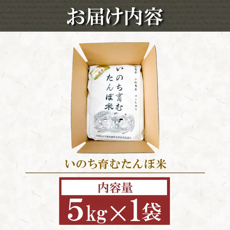 令和7年産 無洗米 5kg 栽培期間中農薬不使用 米 白米 お米 コメ こしひかり コシヒカリ おむすび おにぎり 徳島県産 小松島市