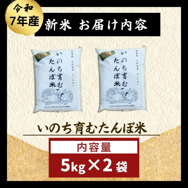 令和7年産 無洗米 10kg 栽培期間中農薬不使用 米 白米 お米 コメ こしひかり コシヒカリ おむすび おにぎり 徳島県産 小松島市