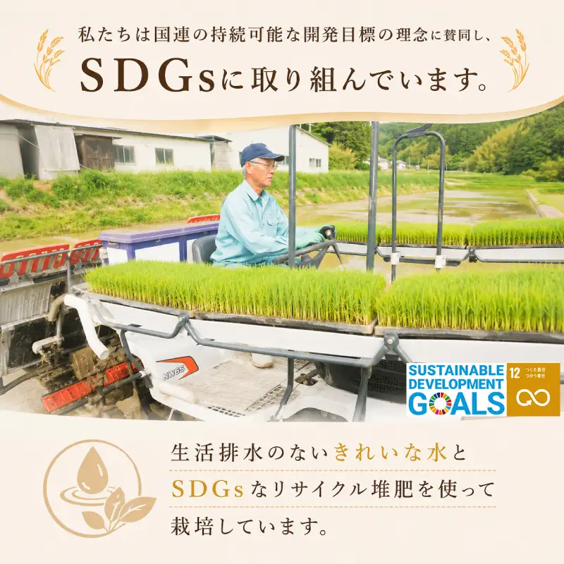 【先行予約】 きぬむすめ 10kg (5kg×2袋) 無洗米 令和8年産 【11月以降順次発送】 山口県産 《内日三町：DZ》