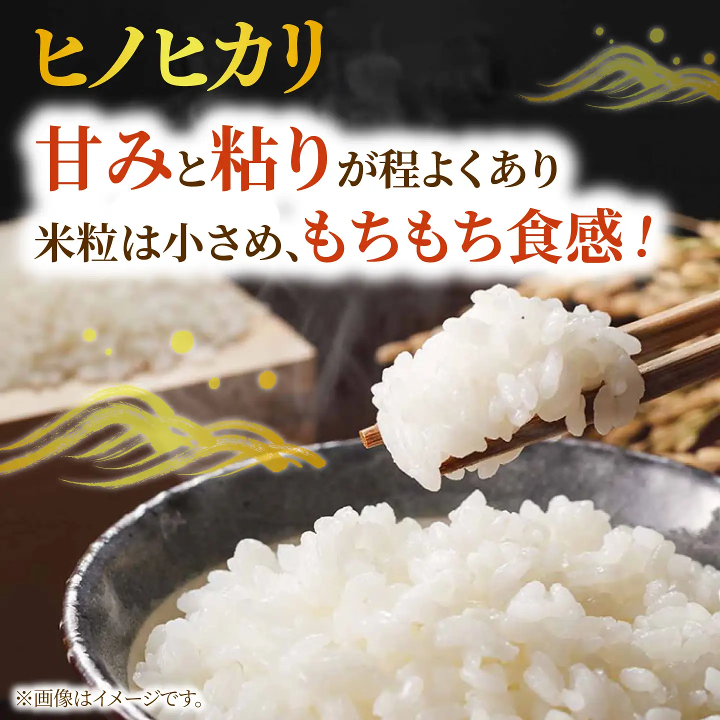 【先行予約】R8年度産 「噛めば噛むほど甘みと旨味」兵蔵さんの棚田米5kg[QAT023]
